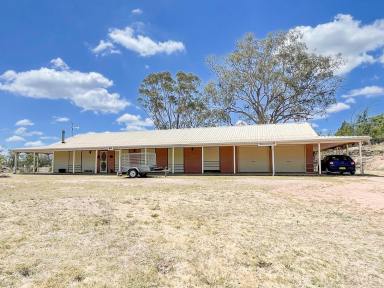 Farm For Sale - NSW - Mudgee - 2850 - 100 ACRES + A HOME + SUBDIVISION POTENTIAL  (Image 2)