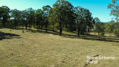 Farm Sold - NSW - Ewingar - 2469 - Potential Plus  (Image 2)