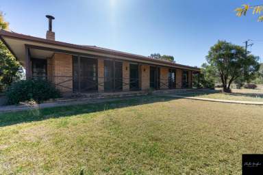 Farm Sold - NSW - Gunnedah - 2380 - Rare 15 Acre Lifestyle Retreat Near Gunnedah  (Image 2)