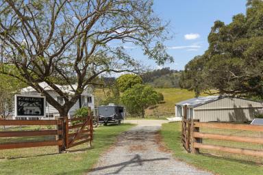 Farm For Sale - QLD - Canina - 4570 - Lifestyler for the times!!!  (Image 2)