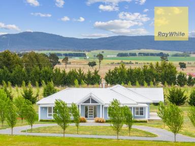Farm Sold - NSW - Goulburn - 2580 - Where Rural Living Redefines Elegance and Opportunity  (Image 2)
