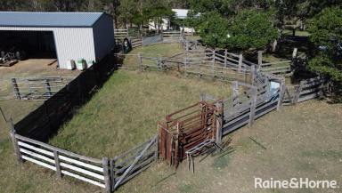 Farm For Sale - NSW - Piora - 2470 - Prime Grazing opportunity with Potential  (Image 2)