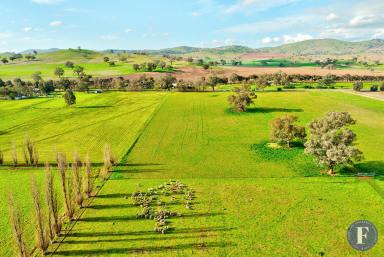 Farm Sold - NSW - Muttama - 2722 - Prime Land - Sub-division Potential!  (Image 2)