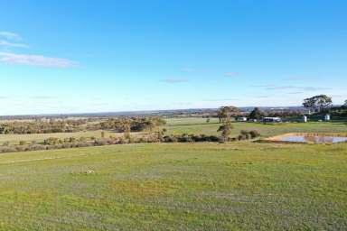 Farm Sold - WA - Pingelly - 6308 - Small Farm Near Pingelly Town  (Image 2)