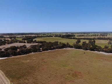 Farm For Sale - WA - Broomehill Village - 6318 - Blank Canvas Awaiting a New Owner  (Image 2)