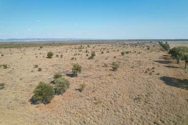 Farm Sold - QLD - Comet - 4702 - "Kulla" Comet QLD  (Image 2)