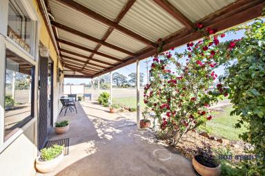 Farm Sold - NSW - Eumungerie - 2822 - Affordable Small Farm in Village of Eumungerie  (Image 2)