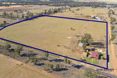 Farm Sold - NSW - Eumungerie - 2822 - Affordable Small Farm in Village of Eumungerie  (Image 2)