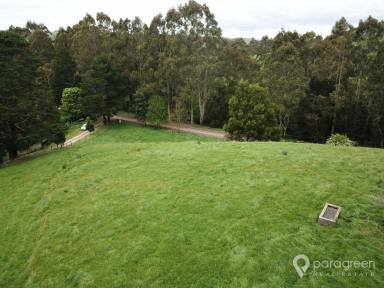 Farm For Sale - VIC - Toora - 3962 - PEACEFUL OUTLOOK  (Image 2)