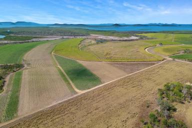 Farm For Sale - QLD - Mount Ossa - 4741 - 69 Acres - Tidal Creek Frontage  (Image 2)