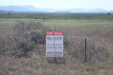 Farm For Sale - QLD - Mount Ossa - 4741 - 69 Acres - Tidal Creek Frontage  (Image 2)