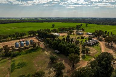 Farm For Sale - NSW - Stockinbingal - 2725 - Prime mixed farming held for over 115 years  (Image 2)
