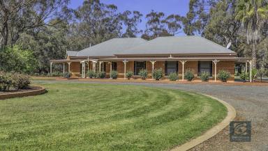 Farm For Sale - VIC - Echuca - 3564 - Tranquil Murray River lifestyle living awaits.  (Image 2)
