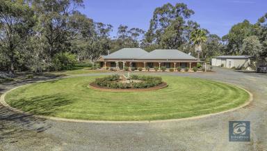 Farm For Sale - VIC - Echuca - 3564 - Tranquil Murray River lifestyle living awaits.  (Image 2)