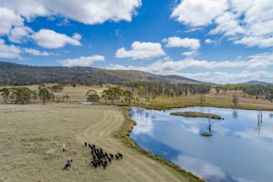 Farm Sold - QLD - Dalveen - 4374 - "ROCKLANDS" - IMPROVED GRAZING & CROPPING BEEFED UP WITH 92ML WATER  (Image 2)