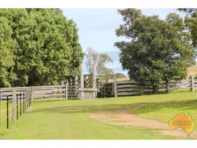 Farm For Sale - QLD - Windera - 4605 - Serene rural lifestyle.....  (Image 2)