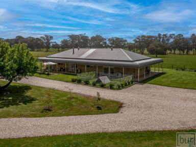 Farm Sold - VIC - Indigo Valley - 3688 - “Rural lifestyle with easy commute”  (Image 2)