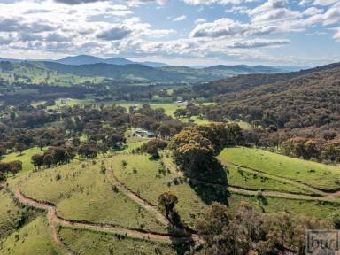 Farm For Sale - VIC - Sandy Creek - 3695 - “Enjoy your own peace and quiet”  (Image 2)