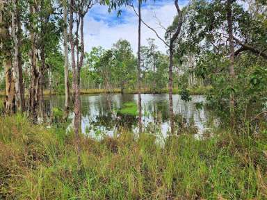 Farm Sold - QLD - Millstream - 4888 - 30 Fabulous Acres  (Image 2)