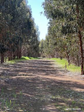 Farm For Sale - WA - Wandillup - 6256 - Great South West Investment Opportunity  (Image 2)