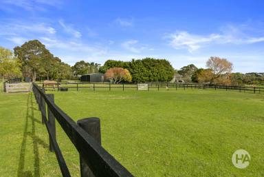 Farm Sold - VIC - Boneo - 3939 - Perfectly Positioned Property  (Image 2)