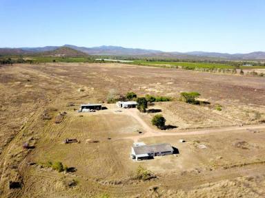 Farm For Sale - QLD - Mutchilba - 4872 - PARADA station  (Image 2)