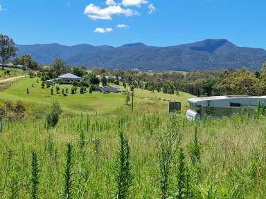 Farm Sold - NSW - Bemboka - 2550 - YOUR DREAM AWAITS IN BEMBOKA!  (Image 2)