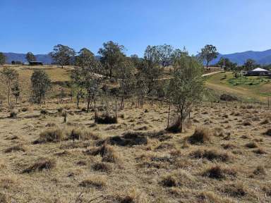 Farm Sold - NSW - Bemboka - 2550 - YOUR DREAM AWAITS IN BEMBOKA!  (Image 2)