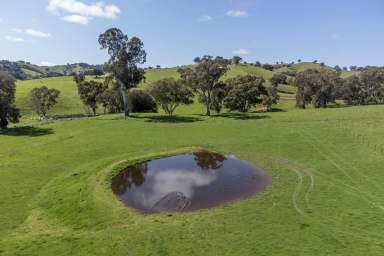 Farm For Sale - VIC - Bonnie Doon - 3720 - LIFESTYLE ACREAGE MINUTES FROM LAKE EILDON  (Image 2)