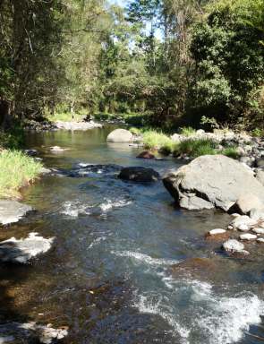 Farm Sold - NSW - Kyogle - 2474 - BY THE CREEK  (Image 2)