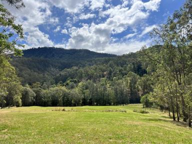Farm Sold - NSW - Kyogle - 2474 - UNDER CONTRACT  (Image 2)