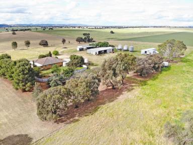 Farm Sold - NSW - Grenfell - 2810 - LYNELLE PARK  (Image 2)