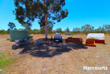 Farm Sold - QLD - Buxton - 4660 - 17 BEAUTIFUL ACRES OF LAND 5 MINUTES FROM BUXTON  (Image 2)