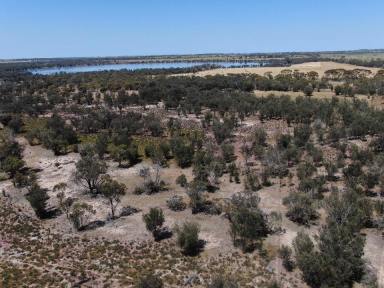 Farm For Sale - WA - Katanning - 6317 - 100 Acres Untouched Country  (Image 2)