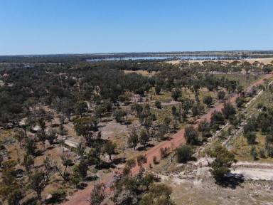 Farm For Sale - WA - Katanning - 6317 - 100 Acres Untouched Country  (Image 2)
