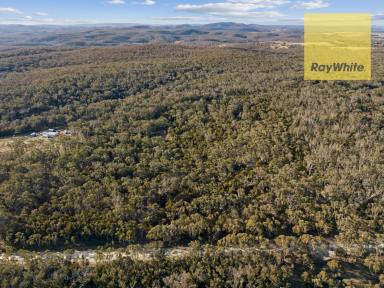 Farm Sold - NSW - Bungonia - 2580 - Escape to Tranquility  (Image 2)