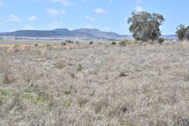 Farm Sold - QLD - Yalangur - 4352 - VALLEY VIEW 
When Quality Country, Versatility, Privacy, Views and an Irrigation License count  (Image 2)