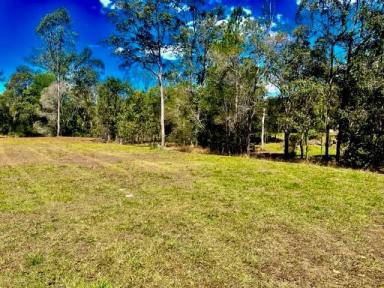 Farm Sold - QLD - Traveston - 4570 - Tranquil Paradise in Traveston: Your Opportunity Awaits!  (Image 2)
