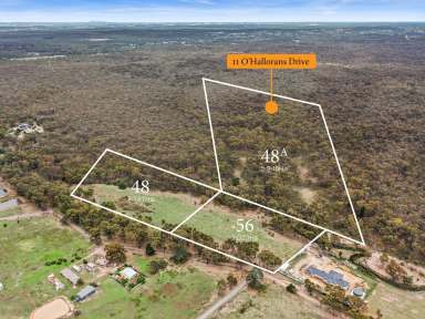 Farm For Sale - VIC - Mandurang South - 3551 - Potential to Develop - 25 Acres Across Three Titles  (Image 2)