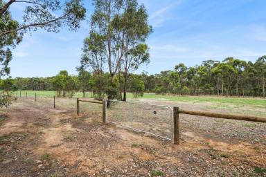 Farm For Sale - VIC - Mandurang South - 3551 - Magnificent Mandurang Lifestyle Opportunity - 25 acres across three titles  (Image 2)