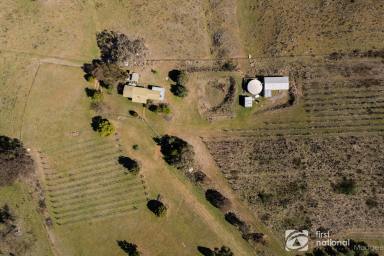 Farm Sold - NSW - Sofala - 2795 - THE IDEAL COUNTRY LIFESTYLE AWAITS!  (Image 2)