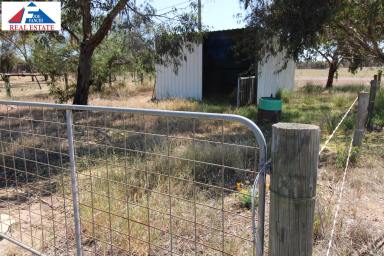 Farm Sold - WA - Wagin - 6315 - Ready to build your dream country home? This block of land is for you. (1.5 acres)  (Image 2)