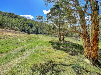 Farm For Sale - NSW - Laguna - 2325 - Scenic Country Weekender Acreage  (Image 2)