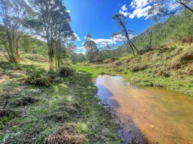 Farm Sold - NSW - Laguna - 2325 - Scenic Country Weekender Acreage  (Image 2)