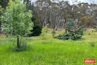 Farm For Sale - SA - Williamstown - 5351 - STUNNING 1 HECTARE (2.47 ACRE) ALLOTMENT WITH NATURAL WATER COURSE  (Image 2)