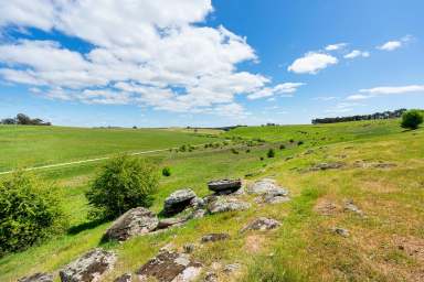 Farm Sold - VIC - Werona - 3364 - Private 35 Acres - Undulating Landscape  (Image 2)