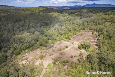 Farm For Sale - NSW - Ulong - 2450 - 93 HECTARES ON 2 TITLES PACKED WITH POTENTIAL  (Image 2)