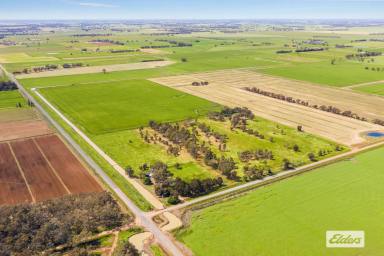 Farm Sold - VIC - Tennyson - 3572 - Cropping and Irrigation 73.56 Acres / 29.77 Hectares  (Image 2)