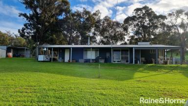 Farm Sold - WA - Scotts Brook - 6244 - Healthy Country Lifestyle  (Image 2)