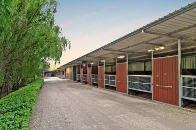 Farm Sold - VIC - Cranbourne - 3977 - Carisbrook Lodge - Top-Tier Facility For Champion Thoroughbreds  (Image 2)